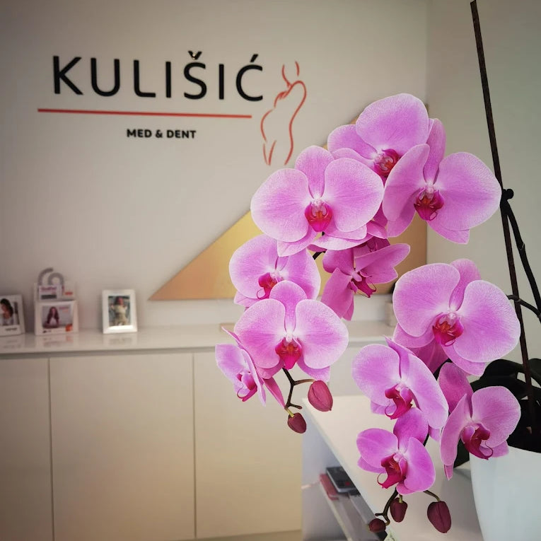 kule.webp